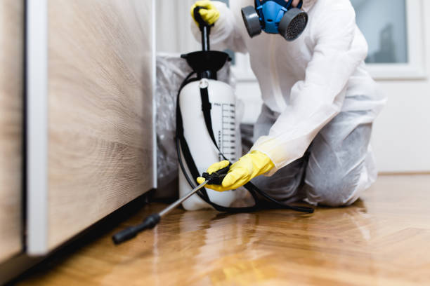 Best Rat Extermination Near Me  in Terrace Heights, WA
