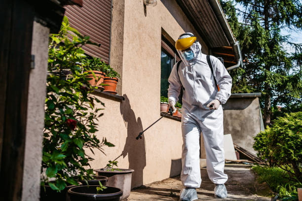 Best Pest Inspection Near Me  in Terrace Heights, WA