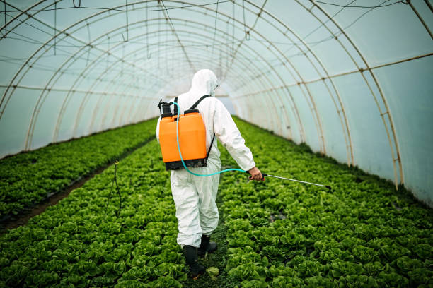 Best Commercial Pest Control Services  in Terrace Heights, WA