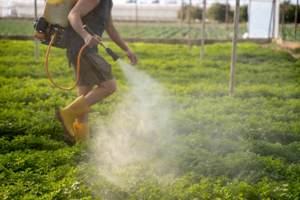 Best Best Pest Control Companies  in Terrace Heights, WA