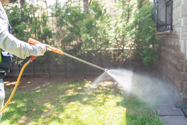 Best Best Pest Control Companies  in Terrace Heights, WA